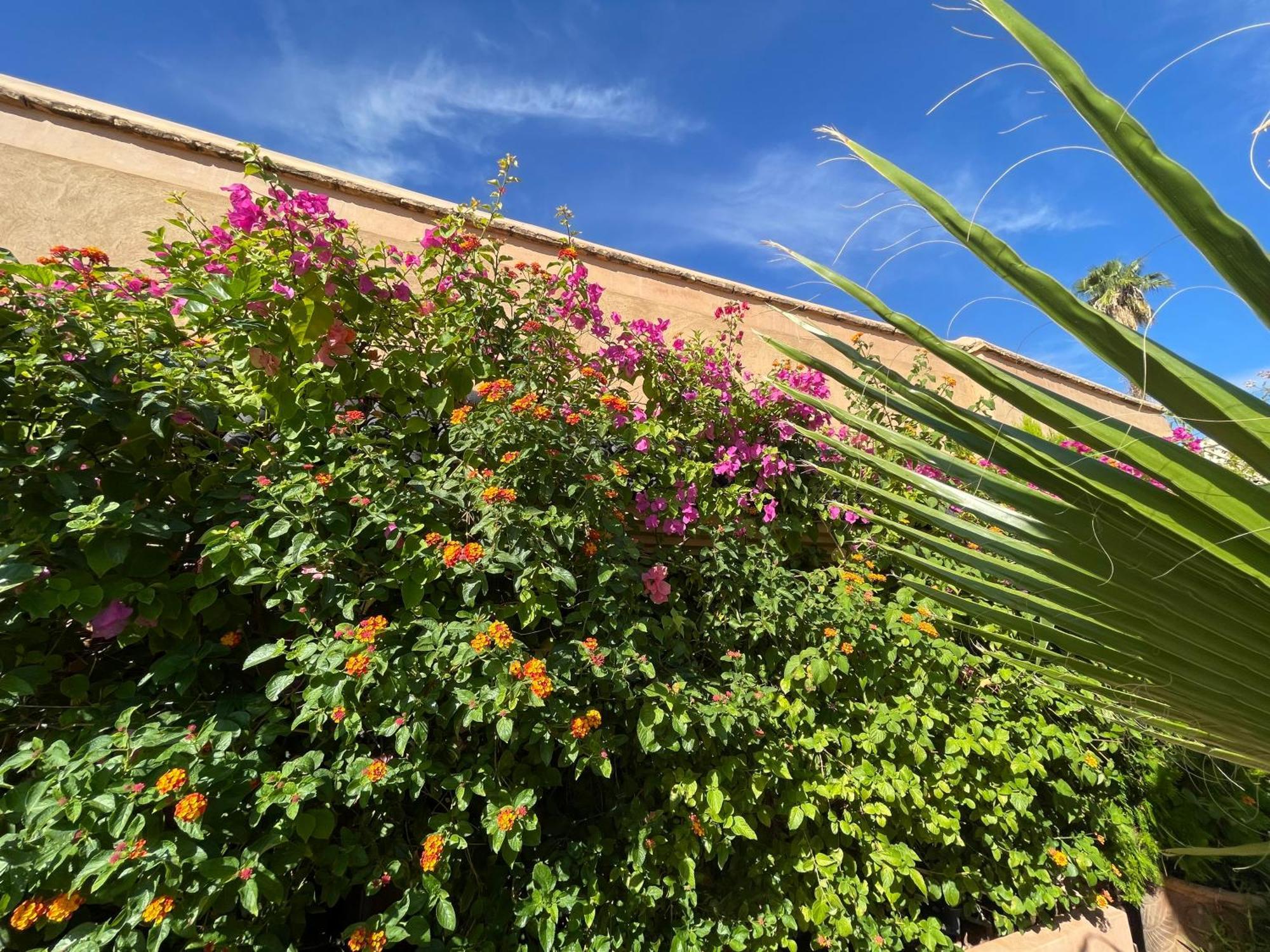 Riad Zouhour Marrakesch Exterior foto