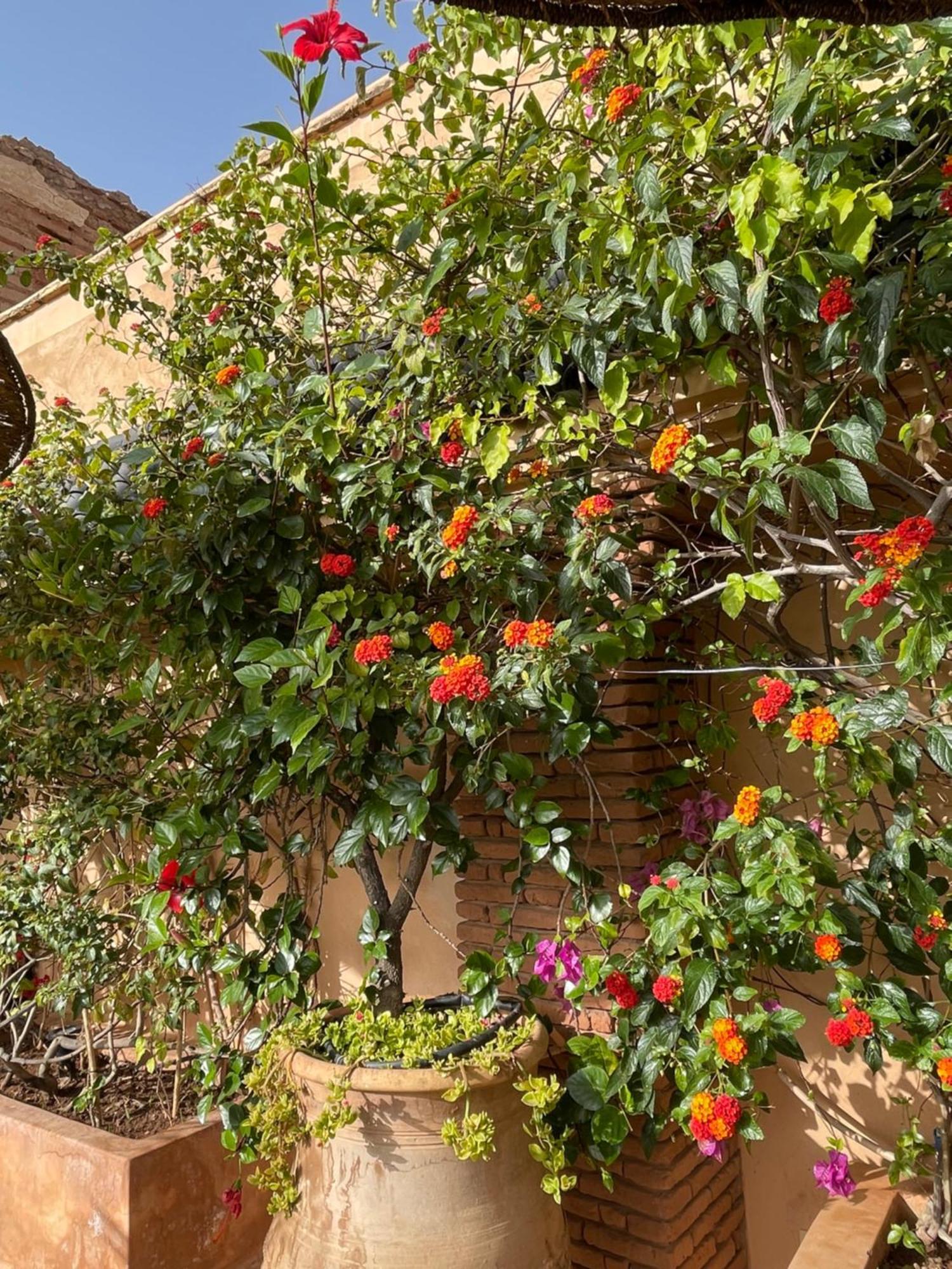 Riad Zouhour Marrakesch Exterior foto